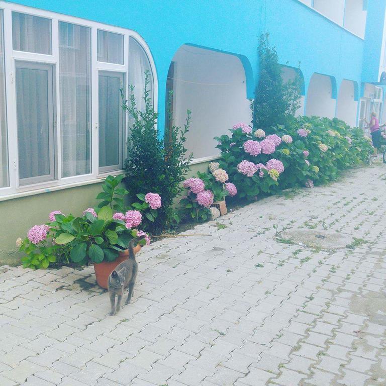 Ada Motel Türkeli Zewnętrze zdjęcie